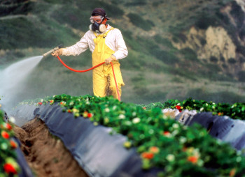 Рынок биопрепаратов для защиты растений и биоинокулянтов