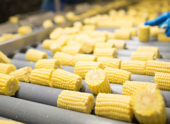 Анализ мирового рынка продуктов глубокой переработки кукурузы