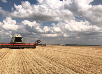 Французская SAS Investcompagnie покупает еще две украинские агрокомпании