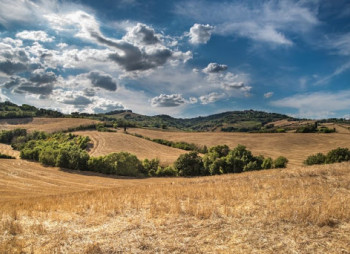 Чем хороша и чем плоха Украина для аграрных инвестиций