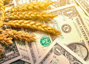 Агропросперис Банк получил €5 млн. от EFSE