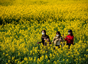 Коронавирус: как эпидемия повлияет на рынок продовольствия и сельское хозяйство?