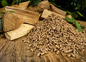 Рынок пеллет Украины 2019