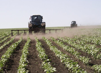 Производитель сахара A'SPIK group приобретает агрокомпанию в Хмельницкой области