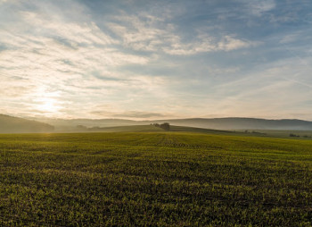 Закон о рынке земли сельскохозяйственного назначения принят. Что говорят эксперты?