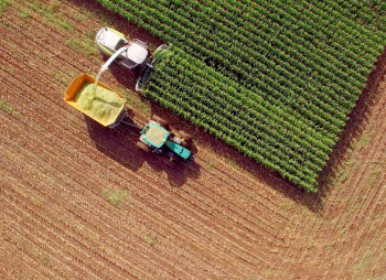 Продажа агрокомпании с земельным банком 3200 га в Житомирской области