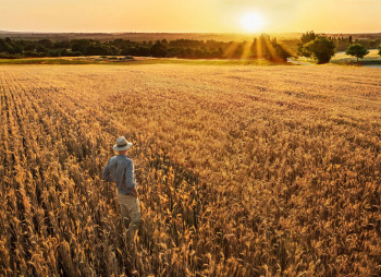 Финансирование и кредиты для агробизнеса в Украине