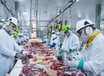 One of the largest meat processing plant in Ukraine for sale or co-investment