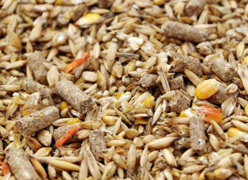 Diligent Capital Partners and FMO commit $20 million to leading Ukrainian feed producer “Edinstvo Group”