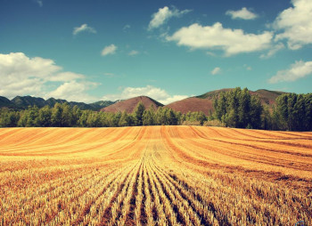 New Agricultural Land Reform in Ukraine 2020/2021