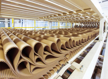 Concorde Capital sells its stake in a containerboard company "Zeleny Park" in Khmelnytsky Oblast