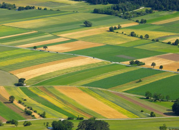 Первые плоды: в Украине за месяц провели 3 тысяч сделок купли-продажи земли