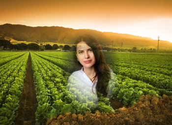 Инвестиции в стрессовые агроактивы: за и против