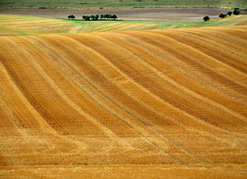 Креди Агриколь предоставит G.R. Agro кредитную линию на $2,5 млн
