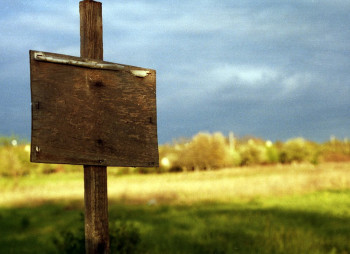 Рынок земли в Украине: общая сумма сделок купли-продажи с/х земли превысила $100 млн