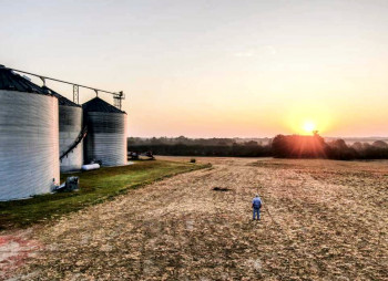 Купим участок под элеватор или действующий элеватор 