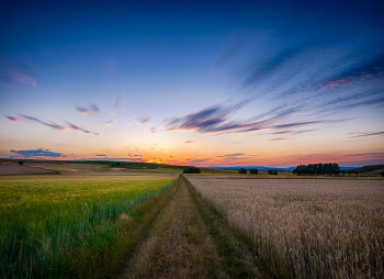 Рынок M&A в агросекторе Украины 2021: фарминг в фаворе у инвесторов