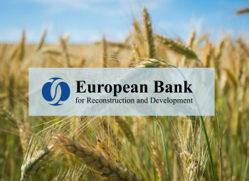 ЕБРР поддержит кредитом на €53 млн продовольственную безопасность в Украине