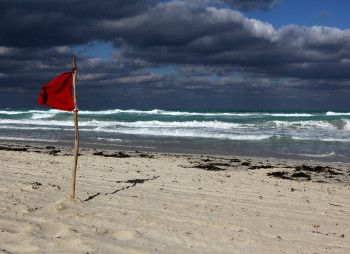 Красные флажки для инвестора: что нужно знать стартапу