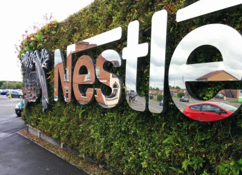 Nestlé вкладе $40 млн у виробництво вермішелі у Волинській області