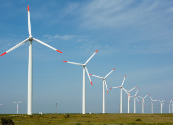 ОАЕ та Єгипет побудують одну з найбільших у світі вітрових електростанцій