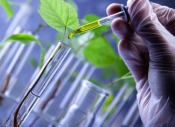 Агрокомпания Corteva приобретает крупного производителя биопрепаратов за $1,2 млрд