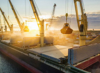 ТОП-10 агротрейдерів в Україні за доступом до "зернового коридору"