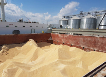 США готовит программу на $100 млн для поддержки украинских фермеров