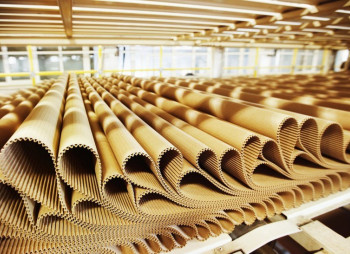 Дистрибьютор Lacoste в Турции инвестирует $2 млрд в производство картона и цемента