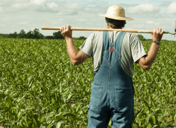 ЄС виділить підрозділу ООН $15,5 млн на допомогу західноукраїнським фермерам