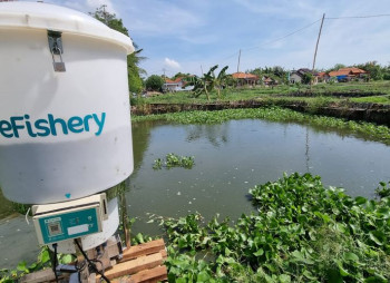 Індонезійський аквакультурний стартап eFishery залучив $200 млн і став єдинорогом