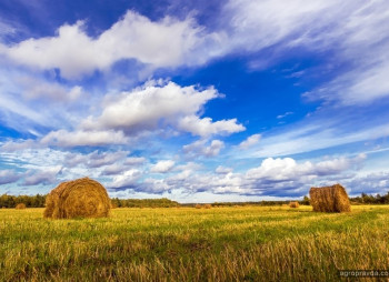 Волинь-Зерно-Продукт купує агропідприємство у Тернопільській області