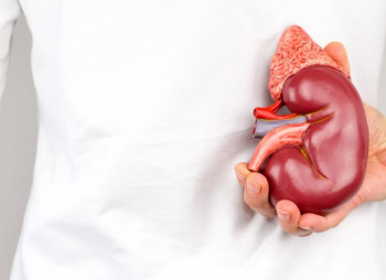 Американський медстартап із лікування нирок Strive Health залучив $166 млн