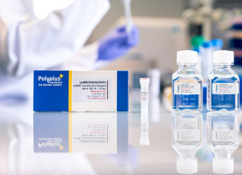 Немецкая Sartorius покупает французский биотех Polyplus за €2,4 млрд 