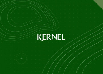 Namsen Limited Андрія Веревського викупила 36% акцій Kernel за $136 млн