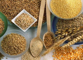 A large manufacturer of cereals and flakes Terra to build a plant in western Ukraine for $20 million