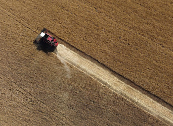 USAID to invest $44 mln in development of storage, infrastructure of Kernel, Nibulon and Grain Alliance