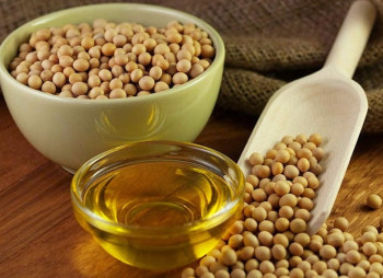 Astarta agroholding resumes project for advanced processing of soybeans at $60 mln