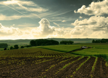 Чи варто купувати сільськогосподарську землю в Україні