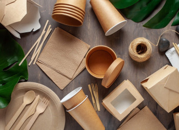 Анализ рынка бумажной посуды в Украине