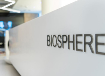 Біосфера інвестує $20 млн у виробництво чаю, а Інтерпайп реалізує три проєкти