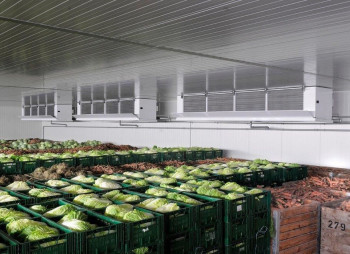 Україні для відновлення промислових овочесховищ необхідні 10 млрд грн інвестицій
