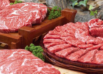 VITAGRO сделает из Future Industry Hub мощный хаб мясоперерабатывающей отрасли с 1 млрд грн инвестиций