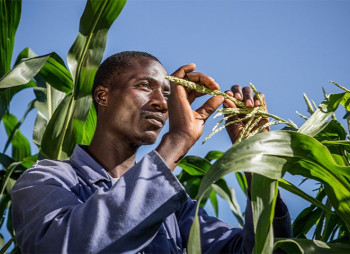 Американский Acumen вкладывает $1,5 млрд в стартапы в сфере агротехнологий