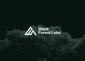Німецький стартап з генерації зображень на основі ШІ Black Forest Labs оцінений у $3,25 млрд