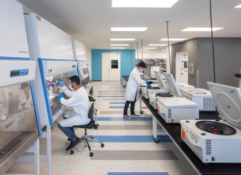 Американская биотех-компания BillionToOne выросла до $4,4 млрд после успешного IPO на Nasdaq