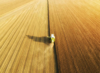 Ukrainian Farming Company with 5,000 ha of Land and 15,000-Ton Grain Elevator near Pivdennyi Port Listed for Sale