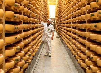 Agroprodservice and Molokia to Invest in a New Hard Cheese Production Plant