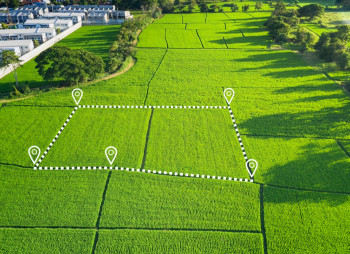 НБУ продає 129 земельних ділянок у Київській області для будівництва та фермерства