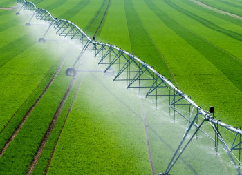 Ukrainian Agroholding with 4,000 ha of Land and Irrigation System in Odesa Region Listed for Sale